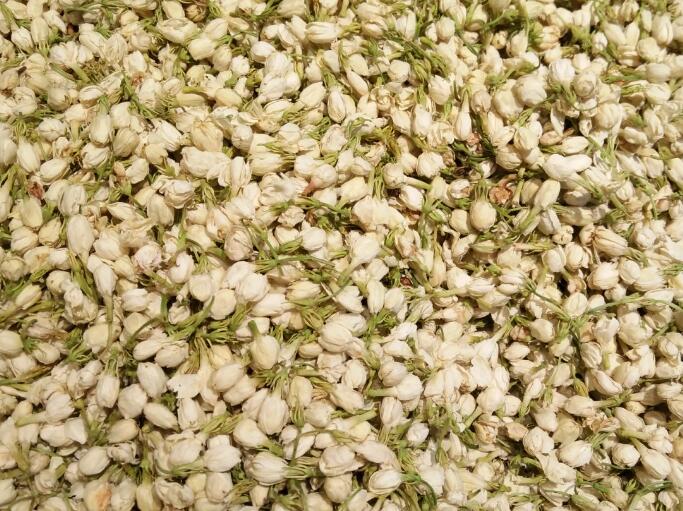 茉莉香飘万里，食品机械是 “幕后功臣”