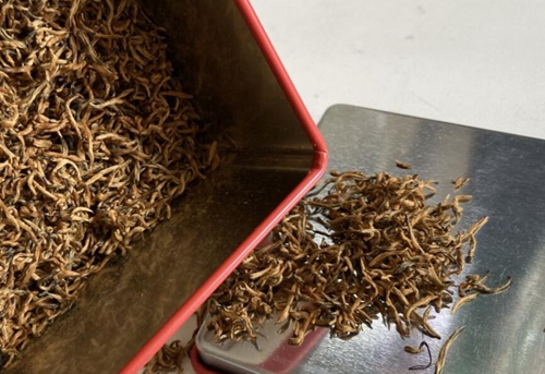 《金秀原生境红茶加工技术规程》征求意见