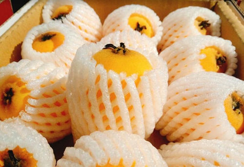 《生鮮食用農(nóng)產(chǎn)品包裝技術(shù)指南》發(fā)布