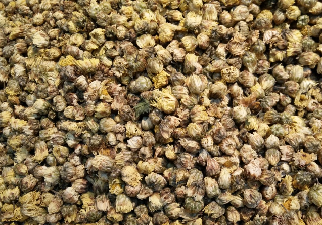 《桐鄉(xiāng)胎菊》團(tuán)體標(biāo)準(zhǔn)發(fā)布