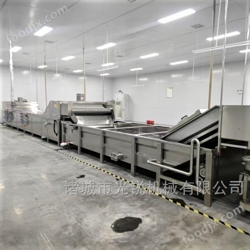 蔬菜清洗風干線光銳不銹鋼清洗設備