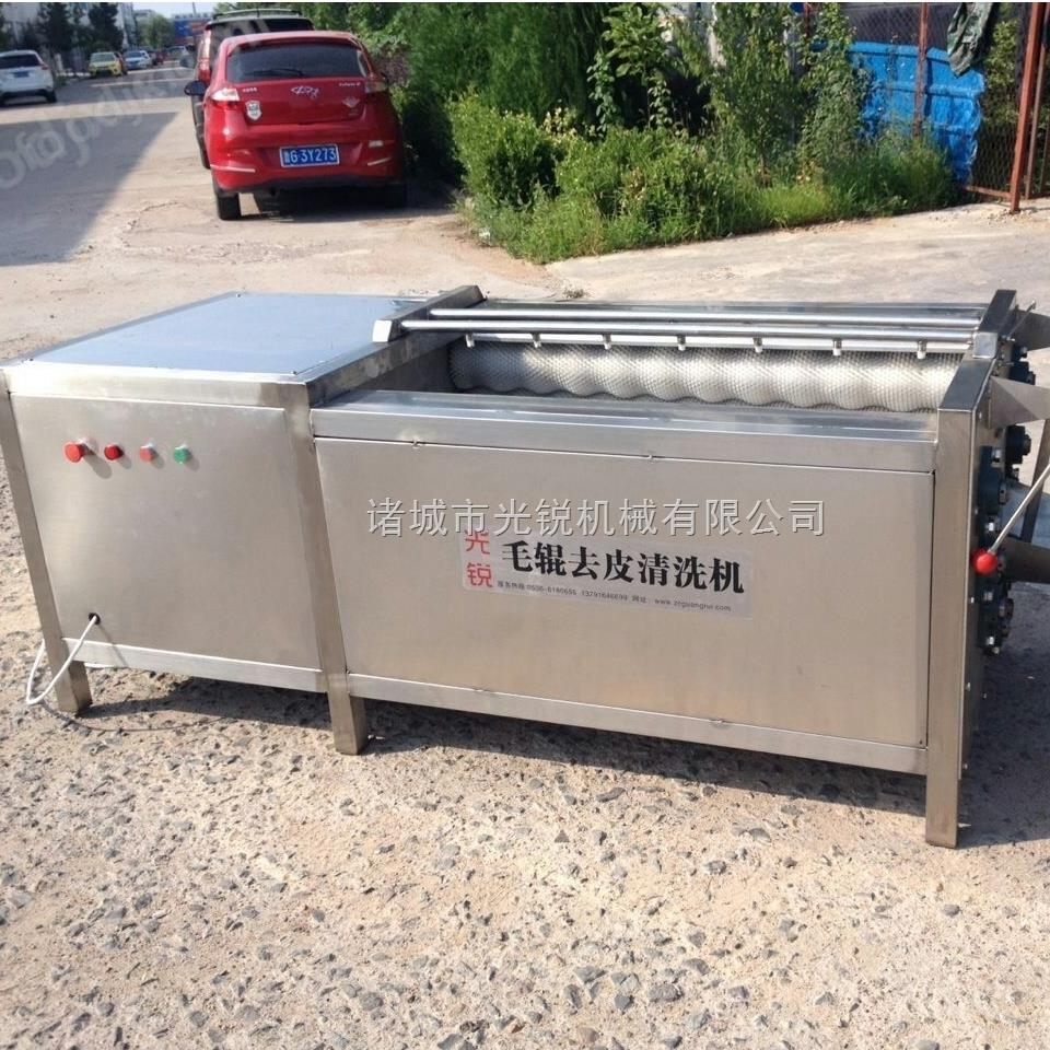 紅薯清洗機(jī)