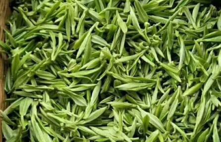 机械化赋能变革：江西茶产业发展新篇章
