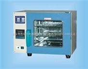 電熱恒溫鼓風(fēng)干燥箱7