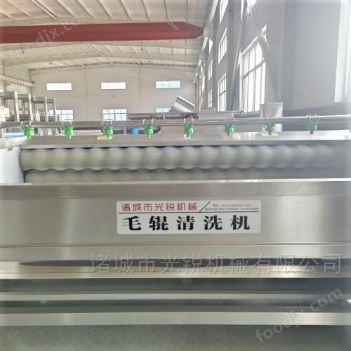 芋頭清洗機(jī)