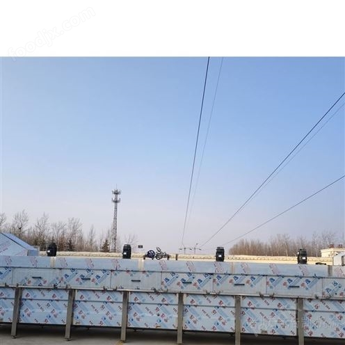 白条鸡全自动浸烫脱毛流水线