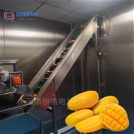 芒果生產(chǎn)線